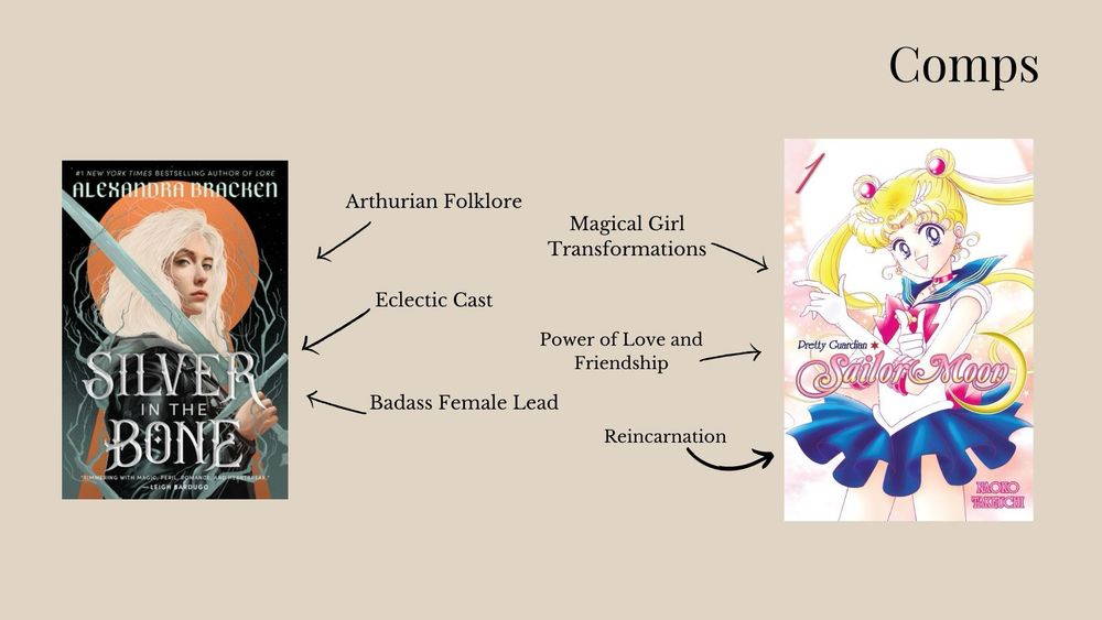Comps including Silver in the Bone and Sailor Moon