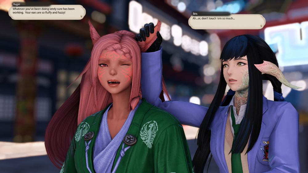 Bris and Yugiri are in a shopping district, with various stalls in the background behind him.  Bris is wearing a green robe with a purple undershirt.  Yugiri is wearing a purple jacket with a green tie and beige sweater underneath. Yugiri reaches up with one hand and grabs Bris's ear, remarking that whatever Bris has been doing as a hair treatment lately is working because her ears are so fuzzy and fluffy.  Bris makes a twisted expression and tells Yugiri not to touch her ears so much