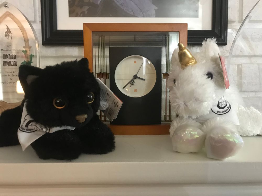 Stuffed Space Unicorns and Hugo the Cat!