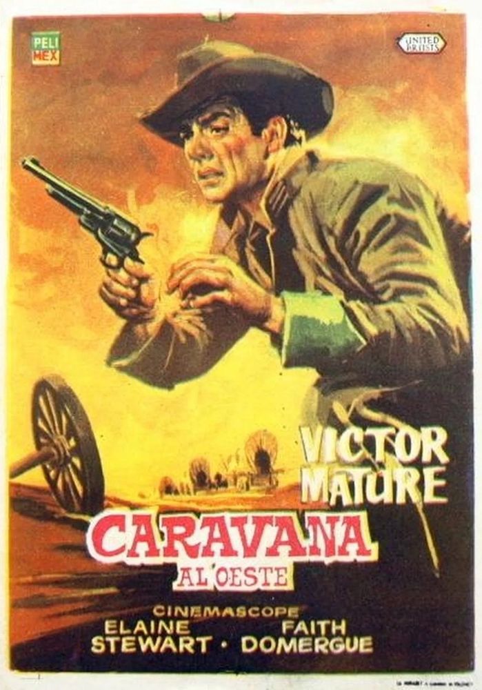 Cartel de la película