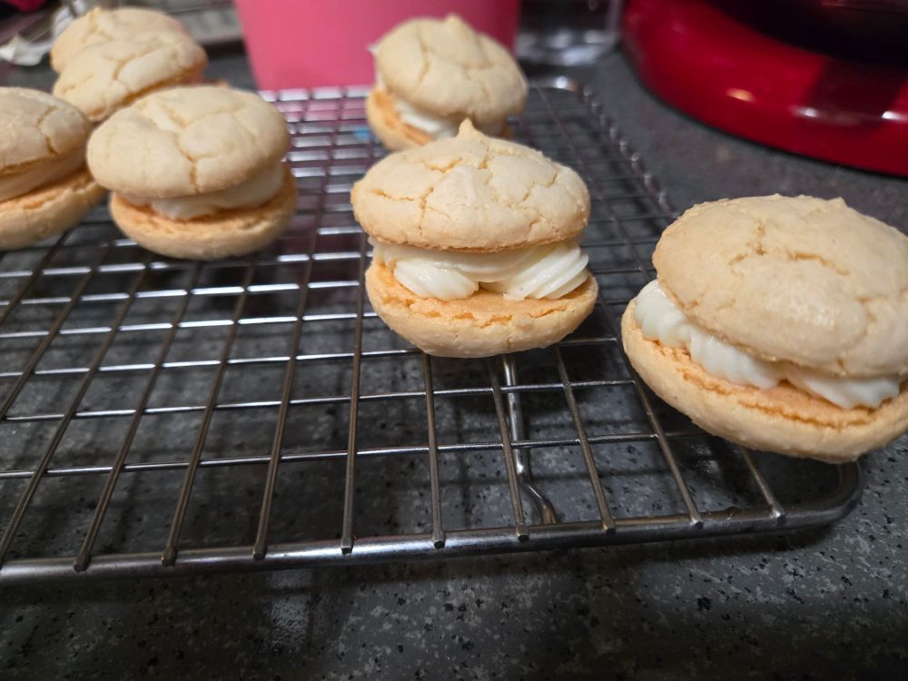 Lemon buttercream macarons. Needed to dry longer before baking. 