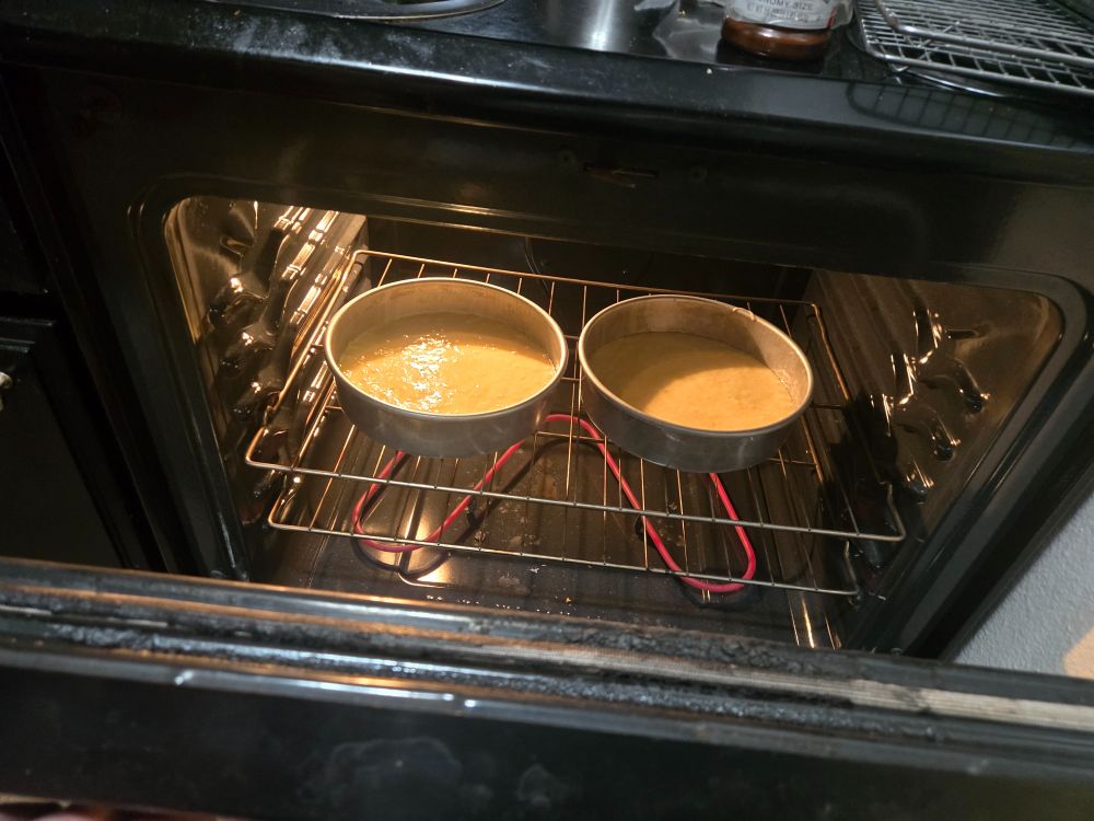 Both layers of the cake as they began baking next to each other in the oven.