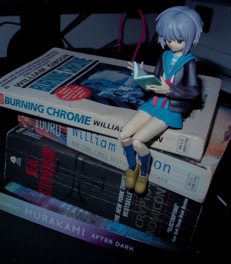 Yuki Nagato on some of my favorite books (Canon Powershot G12)