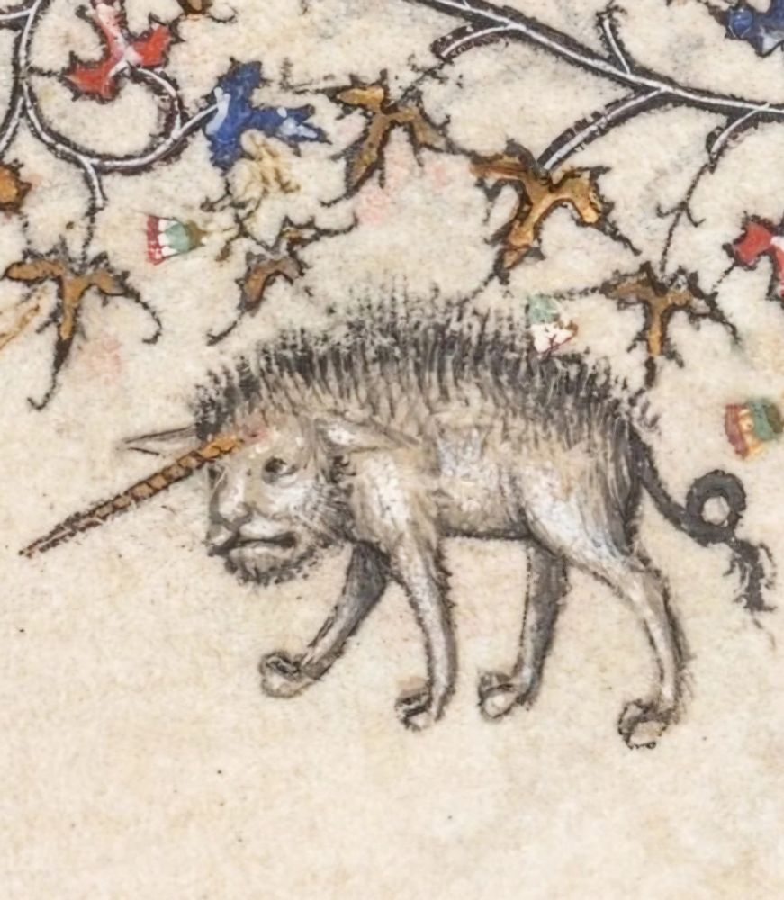 Medieval marginalia clip of a grumpy 4 footed animal, lionish looking, but with a unicorn horm