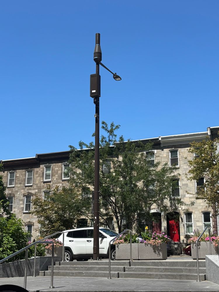 A picture of row homes with trees in front on a clear day 