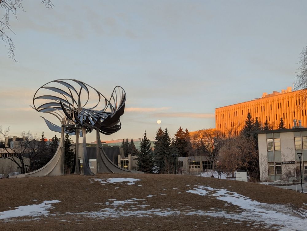 University of Calgary campus 