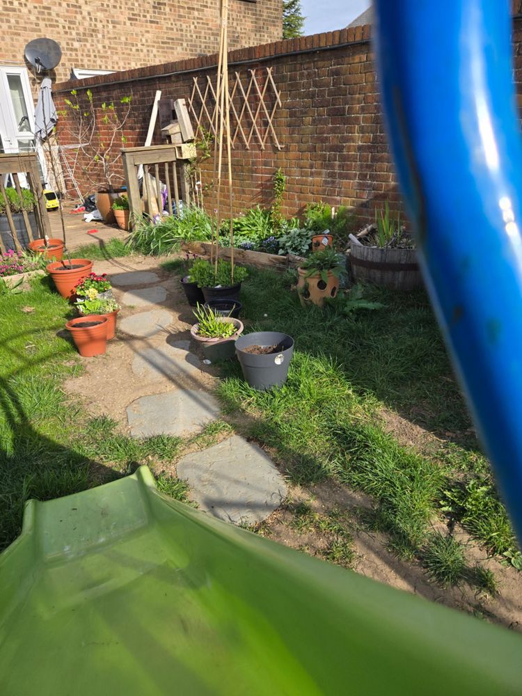 Garden and garden path in bloom UK