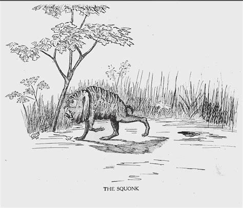 An illustration of the squonk, Lacrimacorpus dissolvens, from William T. Cox's 1910 Fearsome Creatures of the Lumberwoods. 