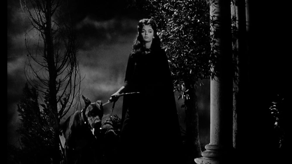 A black-and-white photo of Barbara Steele as Princess Katia in Black Sunday (1960), wearing a dark cloak and holding the leashes of two large dogs.