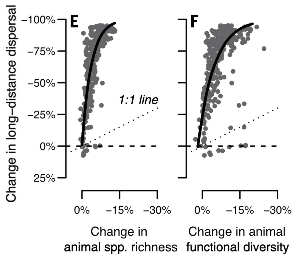 Example results from a study modeling seed dispersal function. The figure has two panels with scatter plots with points representing ecoregion globally. The y axis in each is change in long-distance seed dispersal function and the x axis is change in animal species richness and functional diversity, respectively. These results show that losses of bird and mammal species or functional diversity correspond to far greater proportional losses of seed dispersal function. https://www.science.org/doi/epdf/10.1126/science.abk3510 