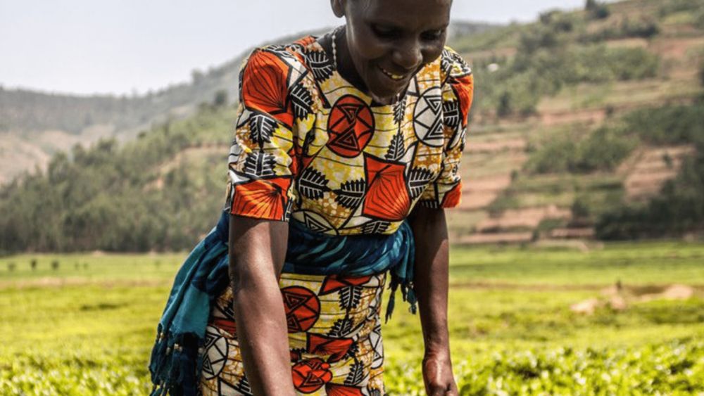 A black woman in a bright patterned dress is on a farm with hills in the background.