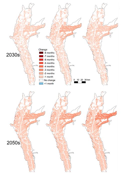 Flood duration changes on the Barotwse floodplain. REds = decreasing duration. There are no blue areas of increasing duration