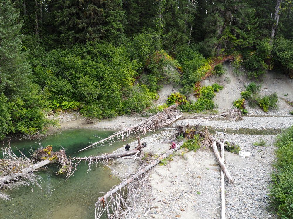 Some in-stream wood 