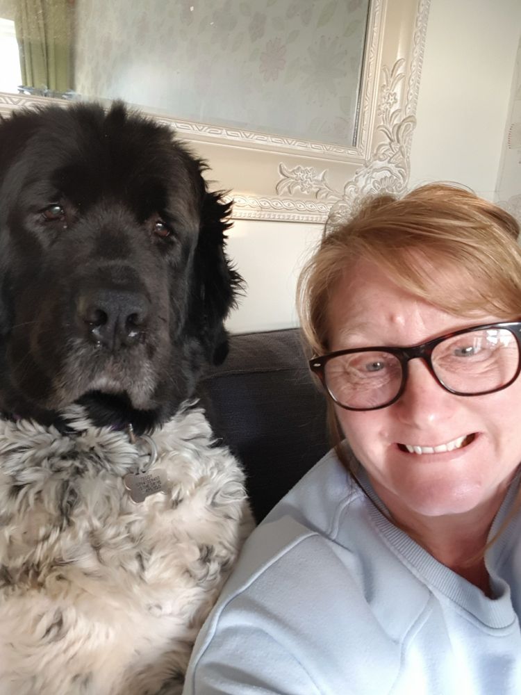 Black and white dog sitting with his owner on a sofa.