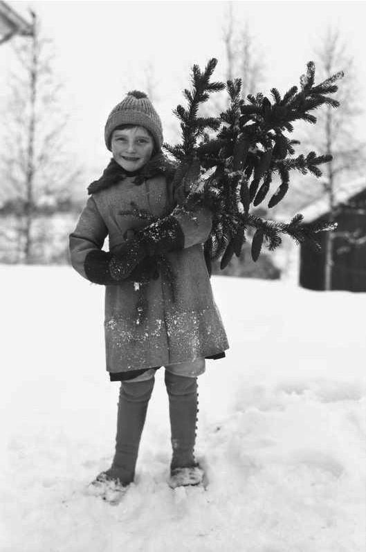 Photo en format 9/16 (story/TikTok/Réel). Une enfant qui porte un petit sapin fraichement coupé !. Arrière-plan : Un Extérieur enneiger !. Premier plan : Phot ancienne en noir et blanc !.