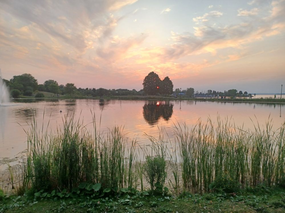 Pink light in the sky and on the water, Andrew Haydon Park.