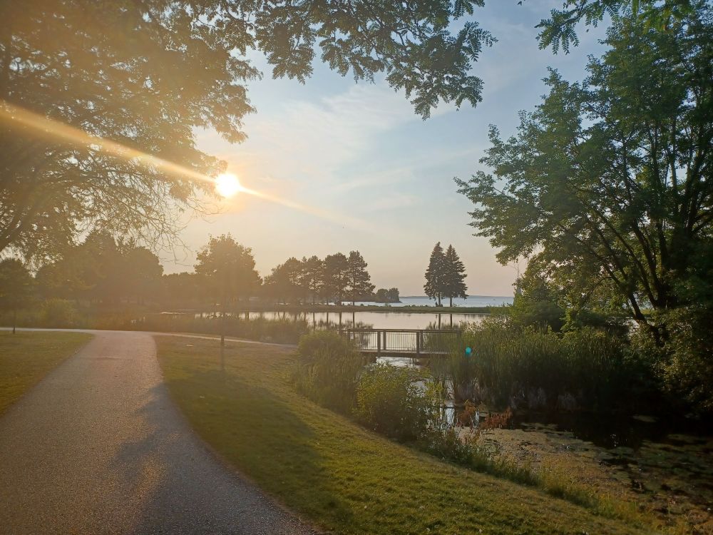Low summer sun on Nepean's Andrew Haydon Park.