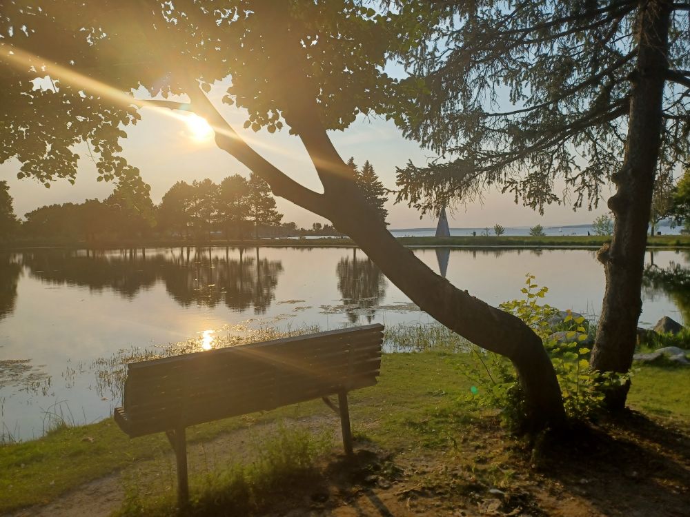 Trees reflected in the water and a park bench overlooks a golden sunset in Andrew Haydon Park.