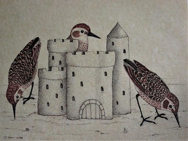Pen & ink drawing  on yellow toned calligraphy paper of 3 least sandpipers around a sandcastle on a beach. 2 of the birds are pecking in the sand  next to the castle, but a third one is looking over the top of the sandcastle.
