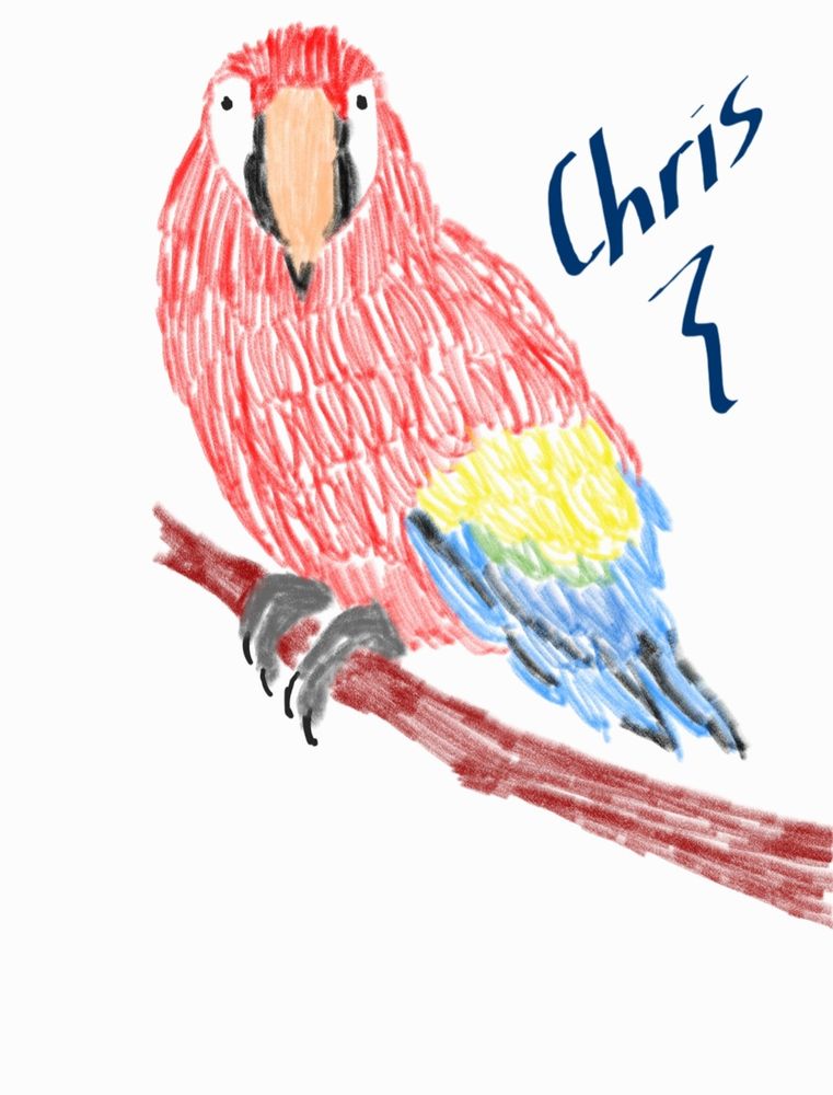 Hand-drawn macaw, predominantly red with a few blue, yellow, and green feathers.