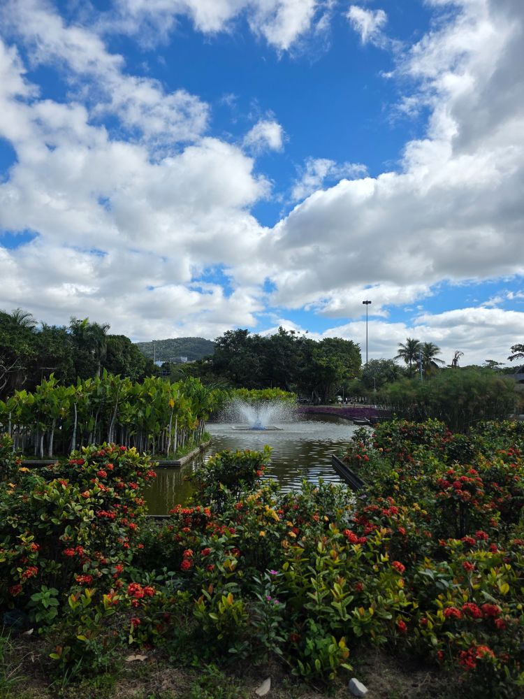 Clouds in a blue sky. Flowers beautifying a green area in the park.
