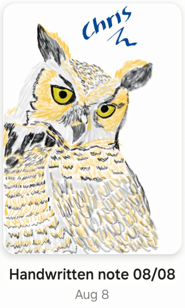 hand drawing of an owl