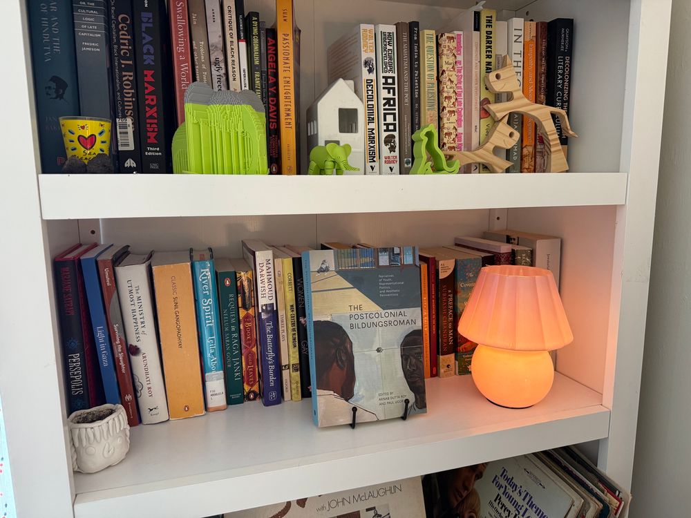 A view of a bookshelf with multiple books and decorative items. The book The Postcolonial Bildungsroman is prominently displayed on a stand beside a glowing orange lamp