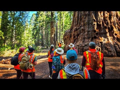 We Return to Sequoia National Park for Our 4th Year and Ask Ourselves, "What Is Worth Our Time?"