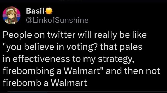 tweet from user linkofsunshine: people on twitter will really be like ‘you believe in voting? that pales in effectiveness to my strategy, firebombing a Walmart’ and then not firebomb a Walmart