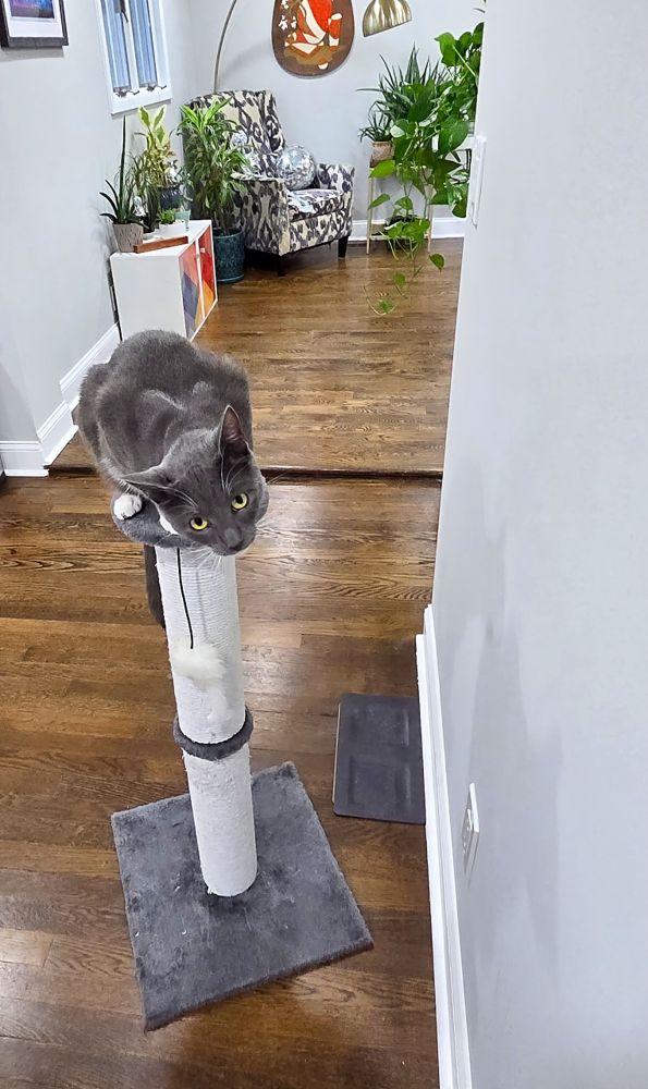 Astro