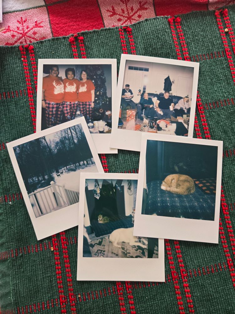 Polaroids of family and pets