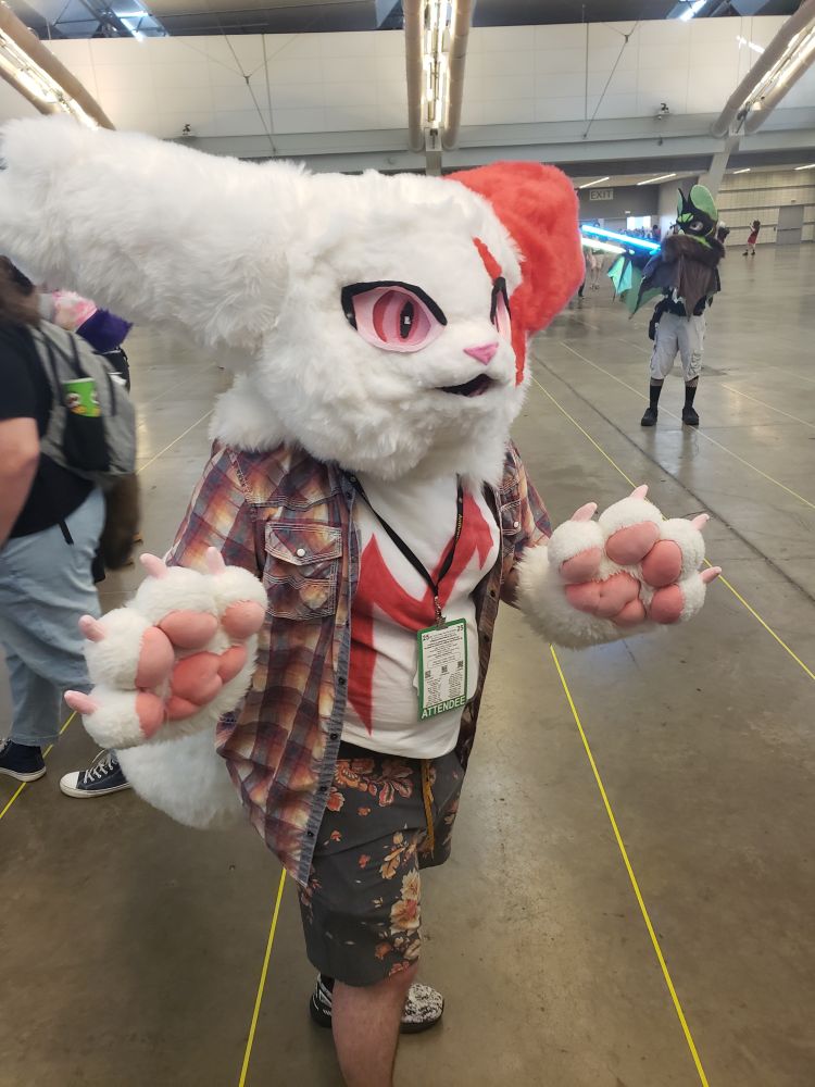 Inevanable showing off at the Friendly Feline Furry Fiasco meetup event.