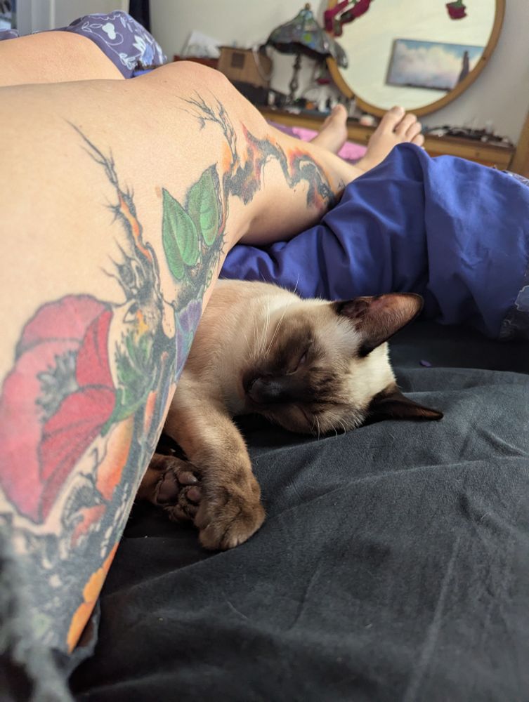 Cat head sticking out oddly from under a bare thigh tattooed with lava, lightning scars and flowers