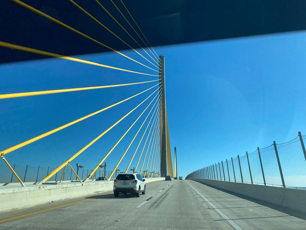 Looks like guitar strings…