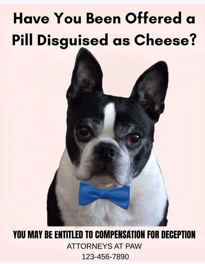 Have you been offered a pill disguised as cheese? ( Picture of a bowtie dog).
You may be entitled to compensation Attorneys at Paw. Fictitious phone number attached.