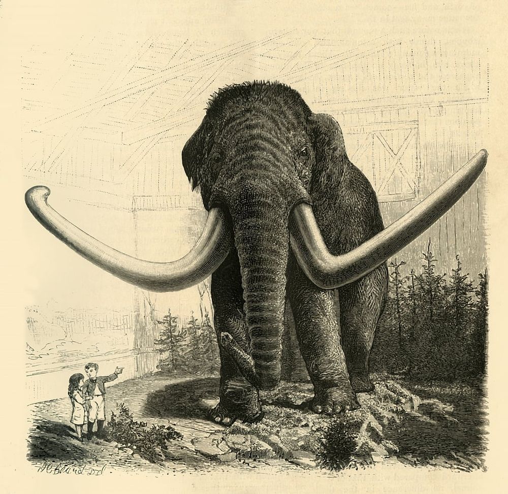 José Martí, La Edad de Oro n° 3, octobre 1889 — Cuentos de elefantes [Histoires d’éléphants]