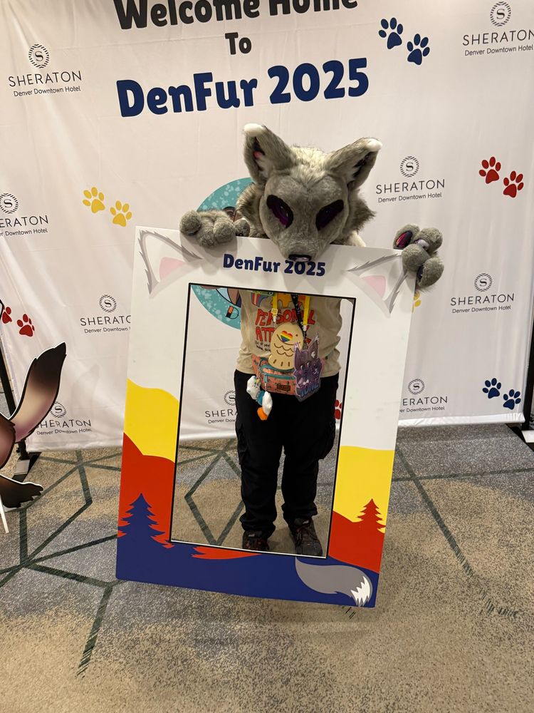 Gray cat furry trying to eat the picture sign.