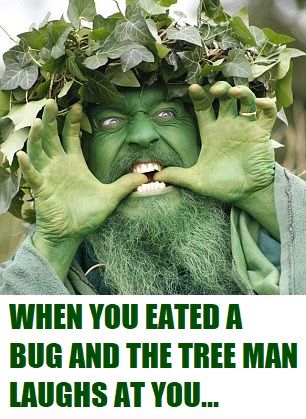 Comment image