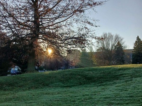 the sun rising over Mercyhurst University through the shadowy bones of trees