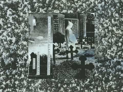 Various Artists - Upon the Return of All Radiant Creatures (Malevolent Relics)