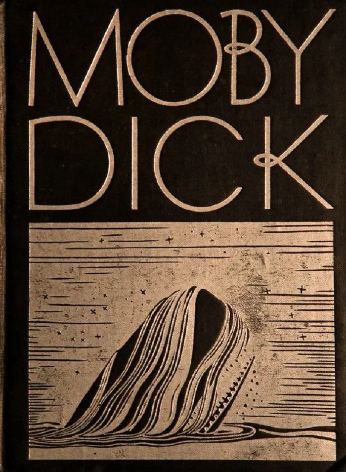 Cover of Moby Dick book