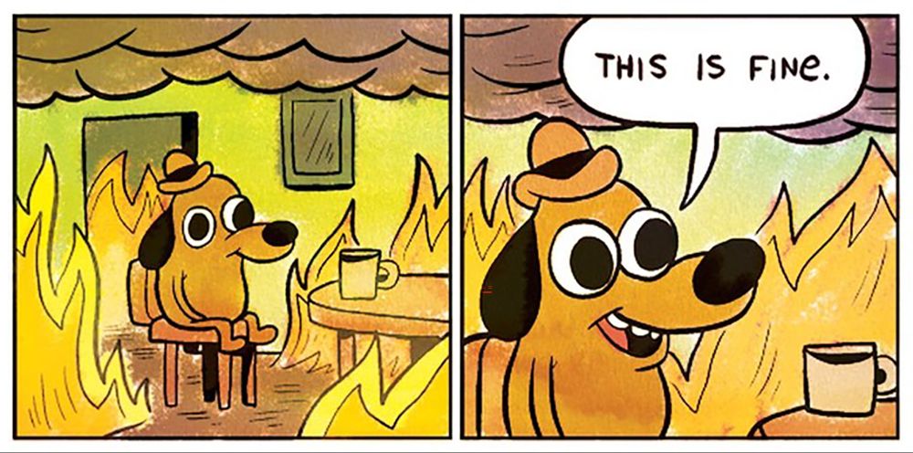 Meme of a dog at a table with a mug on it. The dog is surrounded by flames and says "this is fine".