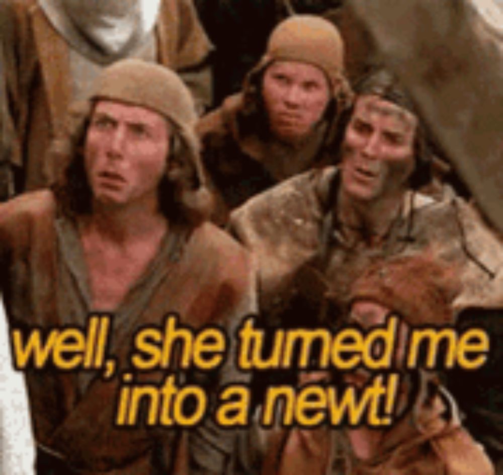 a group of people are sitting next to each other and one of them is saying well she turned me into a newt