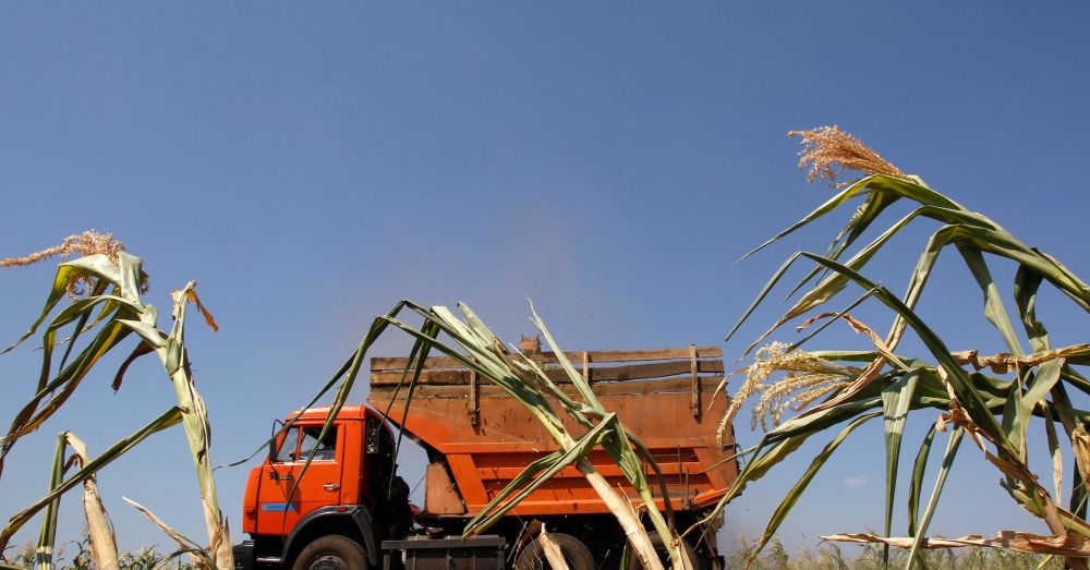 Drought forces Russia's Voronezh region to declare farming  emergency