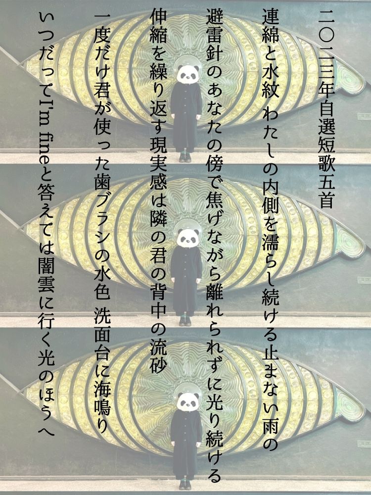 2023年自選短歌5首
連綿と水紋 わたしの内側を濡らし続ける止まない雨の
避雷針のあなたの傍で焦げながら離れられずに光り続ける
伸縮を繰り返す現実感は隣の君の背中の流砂
一度だけ君が使った歯ブラシの水色 洗面台に海鳴り
いつだってI’m fineと答えては闇雲に行く光のほうへ