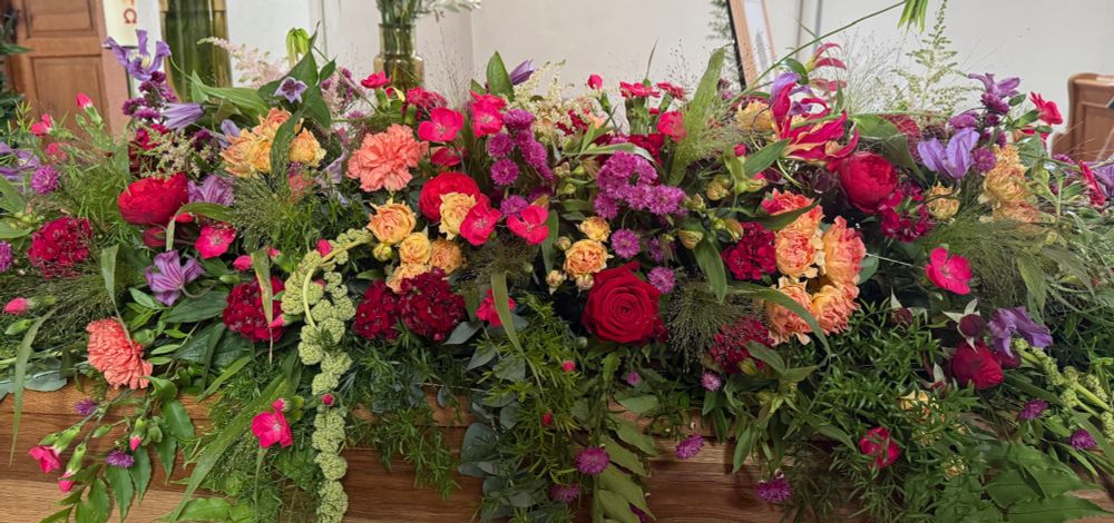 colourful flowers 
