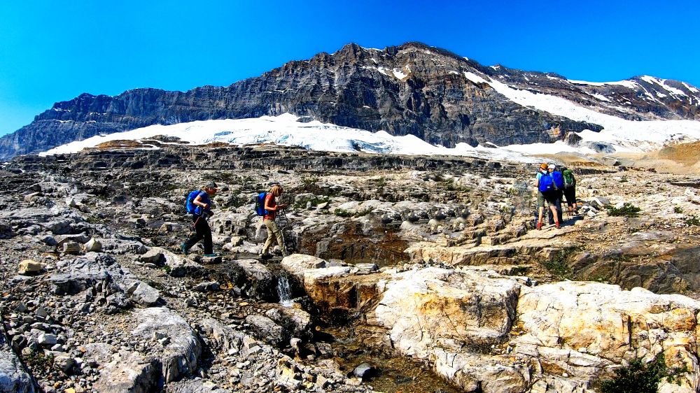 This must-do loop hike in Yoho National Park offers spectacular views of towering peaks, glaciers, and breathtaking waterfalls. Beginning near Takakkaw Falls, the trail climbs steeply onto a high alpine bench, where sweeping vistas of glacier-clad summits rise above the Yoho and Little Yoho Valleys. After traversing this dramatic landscape, the trail descends into the lush meadows of Little Yoho Valley, before returning to the trailhead via the Yoho Valley Trail, with opportunities to visit Laughing Falls, Point Lace Falls, Angel’s Staircase, and Takakkaw Falls along the way.  

Hikers can choose between an **out-and-back route** to the trail’s high point (**8.6 miles round-trip**) or complete the full **loop (13 miles round-trip)**. Both options are **strenuous**, featuring rugged terrain and unforgettable scenery. If time and energy allow, the **loop hike** is highly recommended—it not only showcases breathtaking **alpine landscapes** but also takes you through the **emerald-green meadows of Little Yoho Valley**, with the chance to explore some of the park’s most beautiful waterfalls.