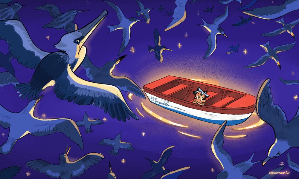 Illustration of a child in a boat looking a different sea birds flying around him.