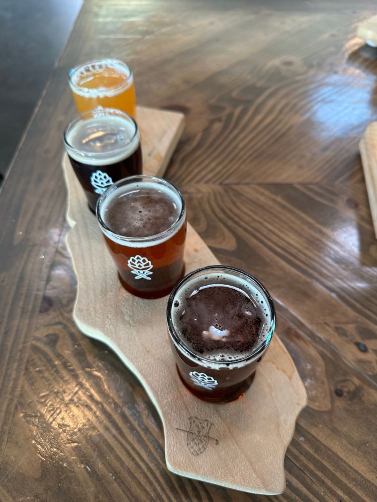 Flight at Dogleg Brewing.