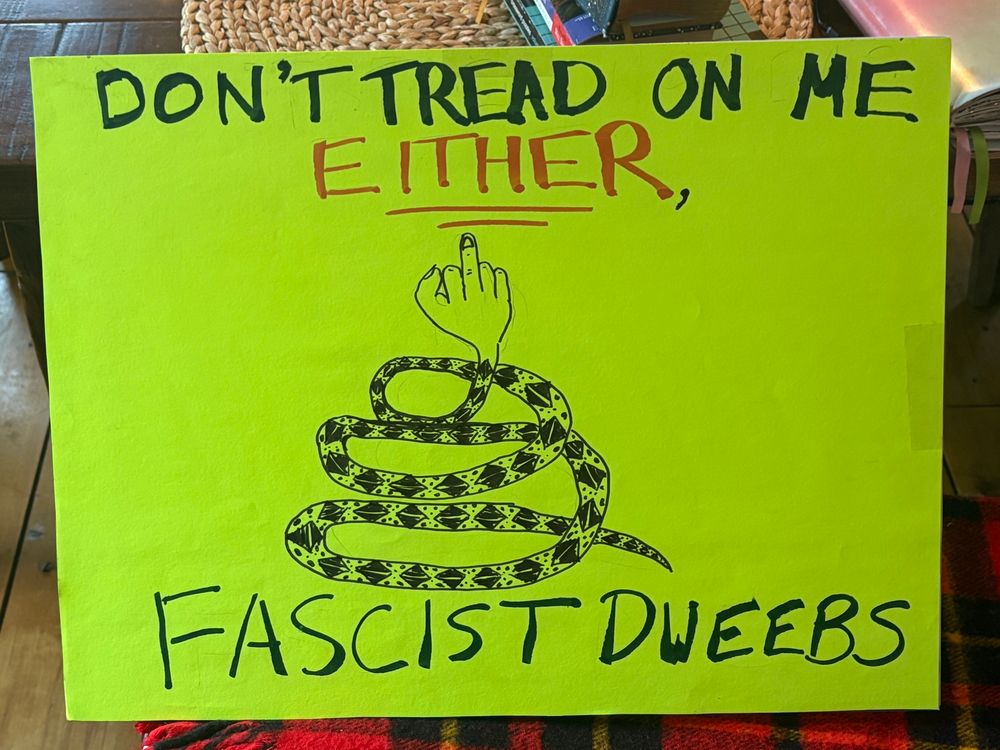 Protest sign parody of the Gadsden Flag, reading “DON’T TREAD ON ME EITHER, FASCIST DWEEBS”